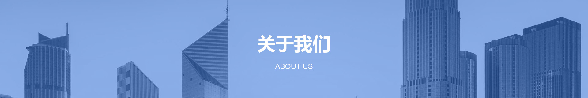 关于大阳城集团